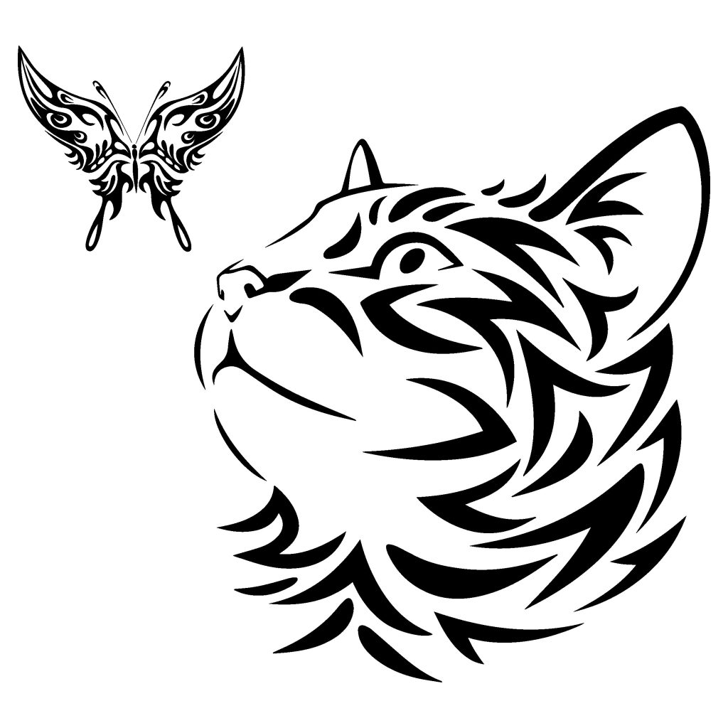 Cat with butterfly